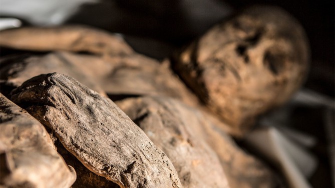 Kiril Cachovski of the Lithuanian Mummy Project 제공